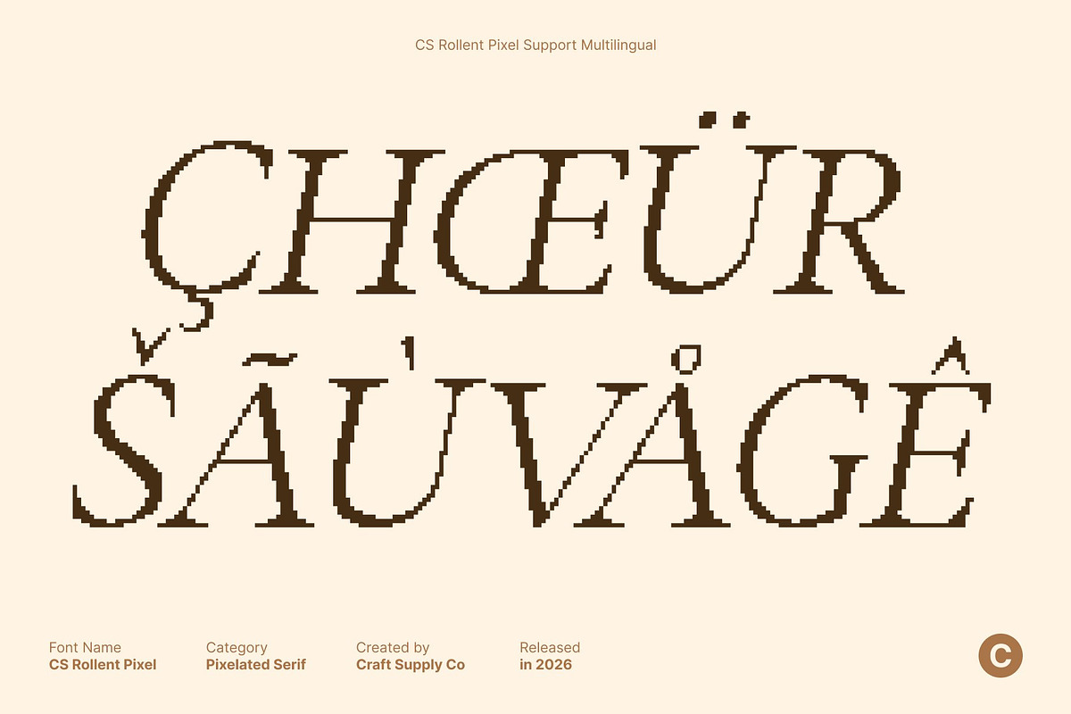 CS Rollent Pixel, a Serif Font by Craft Supply Co. (Photo 7 of 8)