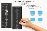 135 Birth Flowers PNG SVG Procreate, a Brushes & More by LaurenceVArtiste (Thumbnail 9 of 9)