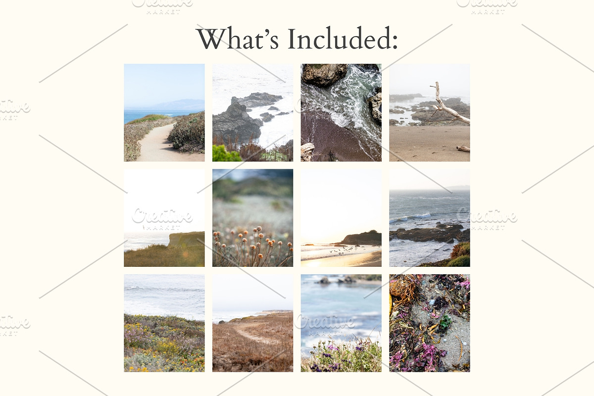 Coastal California Photo Backgrounds, a Background Photo by CreatingYOU.®, Lori Rice (Photo 2 of 5)