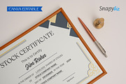 Certificate of Stock Canva Template, a Card Template by Snapybiz (Thumbnail 10 of 10)