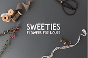 Audacious Grace Font, a Script Font by Cate Shaner (Thumbnail 2 of 7)