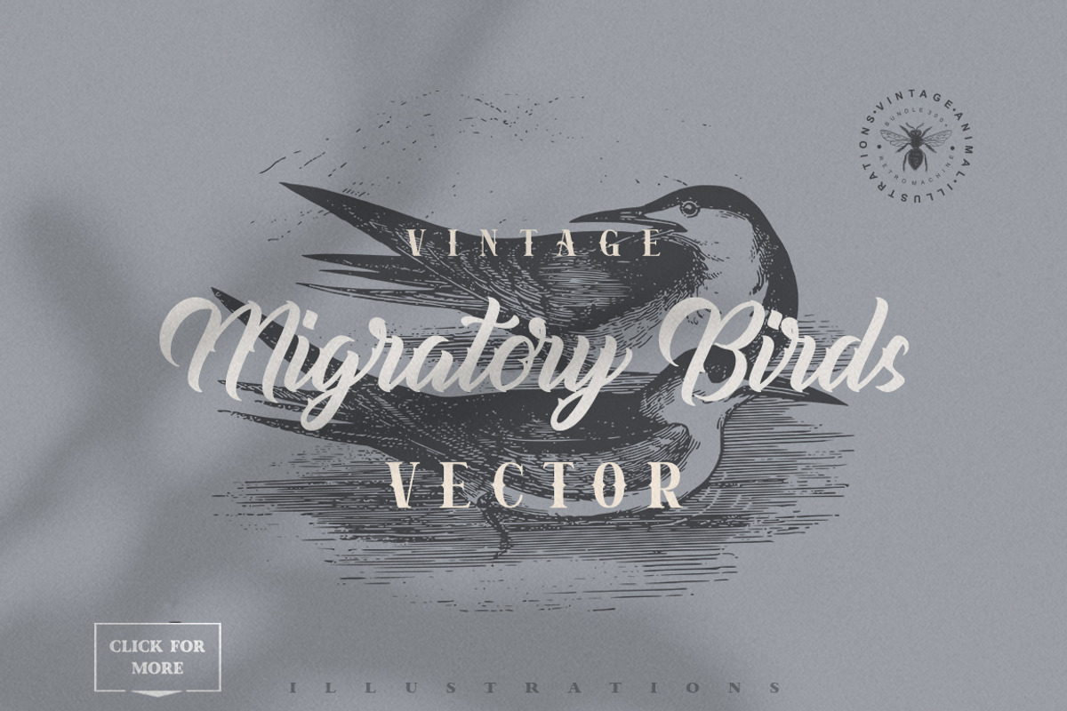 Vintage Bundle 2500+ Free Update, an Animal Illustration by Retro Machine (Photo 119 of 170)