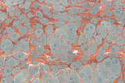 3 Hand Marbled Papers Snake, a Texture Graphic by Marblingdom (Thumbnail 3 of 4)
