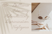 Dominica Calligraphy Script, a Script Font by Idea Studio (Thumbnail 7 of 12)