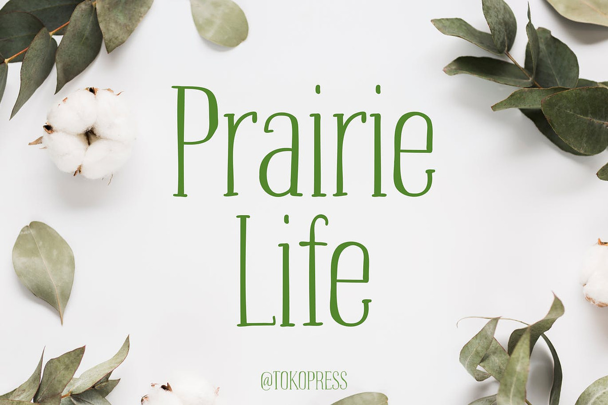 Prairie Life – Cute font, a Serif Font by TokoPress (Photo 1 of 10)