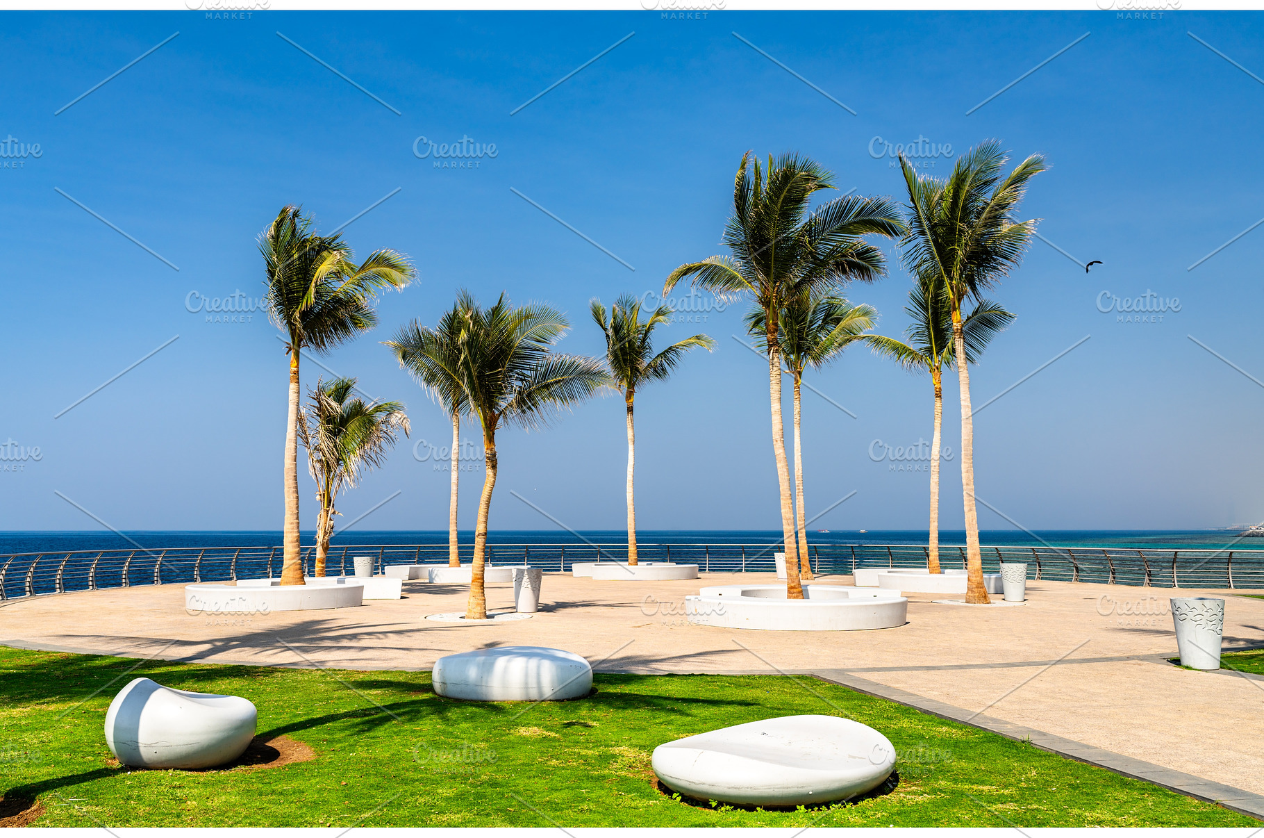 Modern palm trees and seating area, a Nature Photo by Leonid Andronov