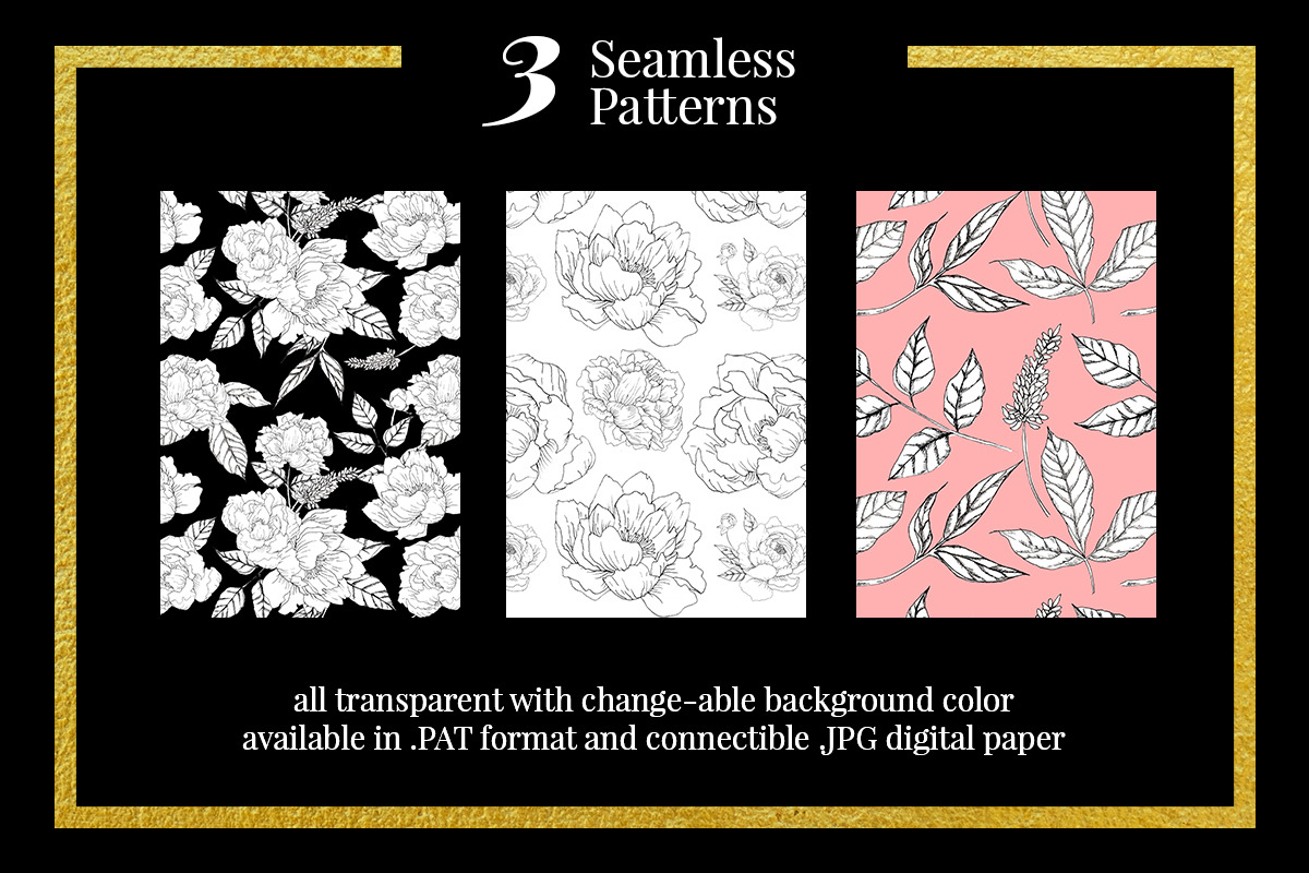 Claire & Luna - Handdrawn Peonies, an Illustration by clairedelune (Photo 3 of 7)