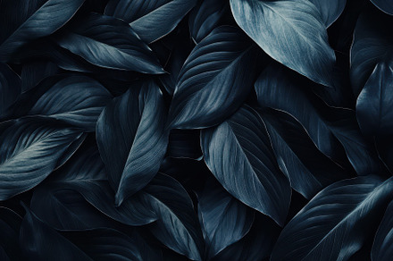 A close-up view of tropical black, a Photo by Pavel_design