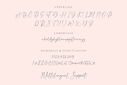 Cabella Anderson - Elegant Signature, a Handwritten Font by CreateBigSupply (Thumbnail 8 of 10)