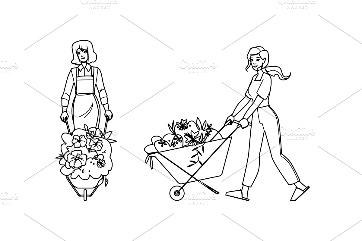 plant garden woman wheelbarrow, a Person Illustration by pikepicture