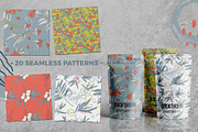 Sea buckthorn vector collection, a Pattern Graphic by Kate Art (Thumbnail 14 of 25)
