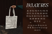 Blither Herasi - Elegant Serif, a Serif Font by Burntilldead (Thumbnail 6 of 12)