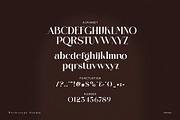 Belina Ramore Elegant Serif, a Serif Font by Perfectype (Thumbnail 8 of 9)