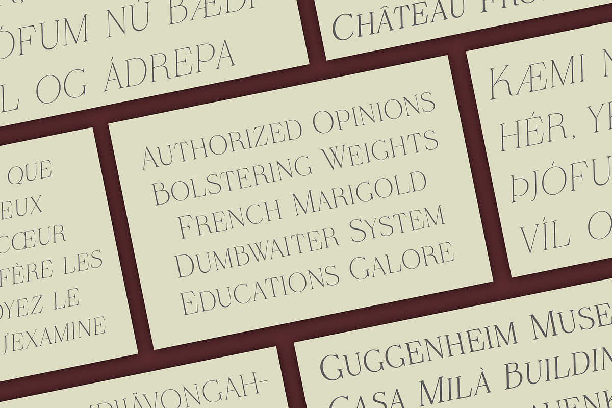 Verre De Blanc - An Elegant Serif, a Font by Evoke Type Studio (Photo 8 of 14)