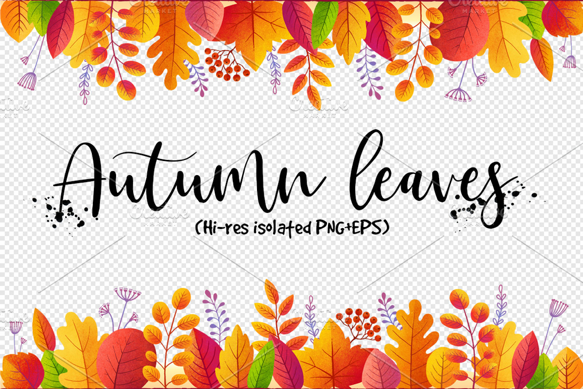 Textured autumn leaves (PNG+EPS), an Object Graphic by Art of Sun (Photo 1 of 3)