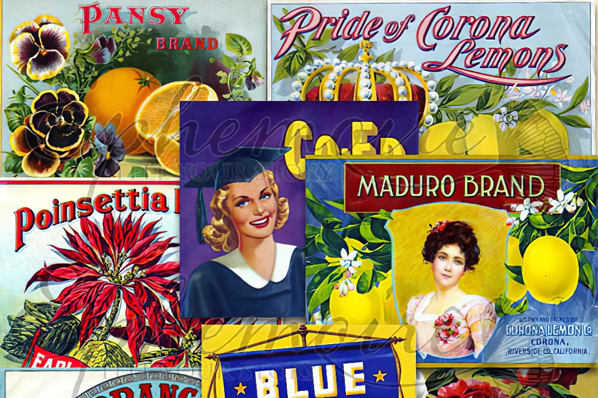 Vintage Fruit Crate Labels - 8 PNGs, an Object Graphic by ephemoire