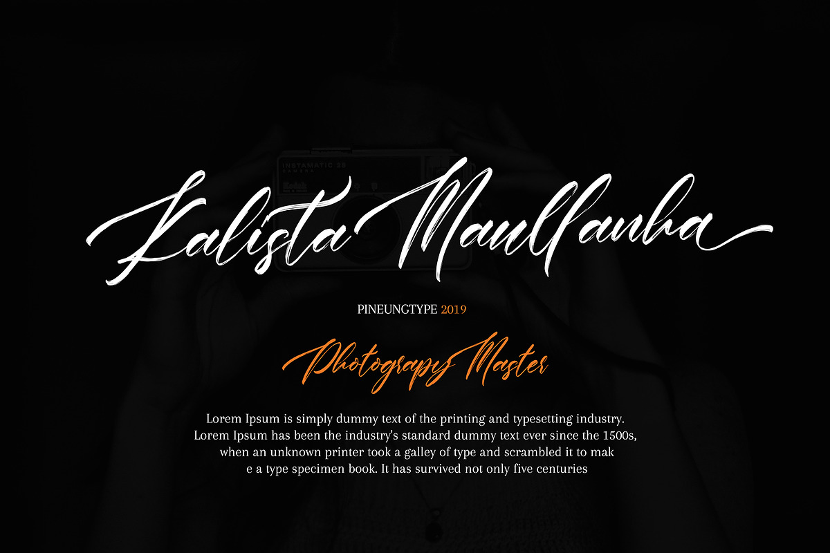 Antartika Font Duo preview 5