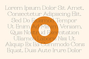 Religan - Modern Serif Font, a Serif Font by Dora Typefoundry (Thumbnail 9 of 22)