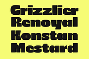 403 Zorn Variable Display Font, a Sans Serif Font by 403 Type Foundry (Thumbnail 4 of 16)