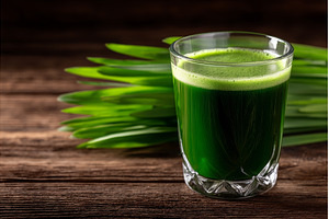 A glass of fresh barleygrass, a Food & Drink Photo by ZinetroN