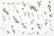 Winter Berries Christmas Watercolour, a Decorative Illustration by whiteheartdesign (Thumbnail 13 of 14)