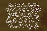 Wystine Esphelta Modern Brush Font, a Script Font by Letterena Studios Script (Thumbnail 13 of 20)