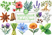 Watercolor Herbal Clipart Bundle, an Illustration by Craft Nest (Thumbnail 1 of 6)