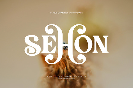 SEHON LIGATURE SERIF TYPEFRACE