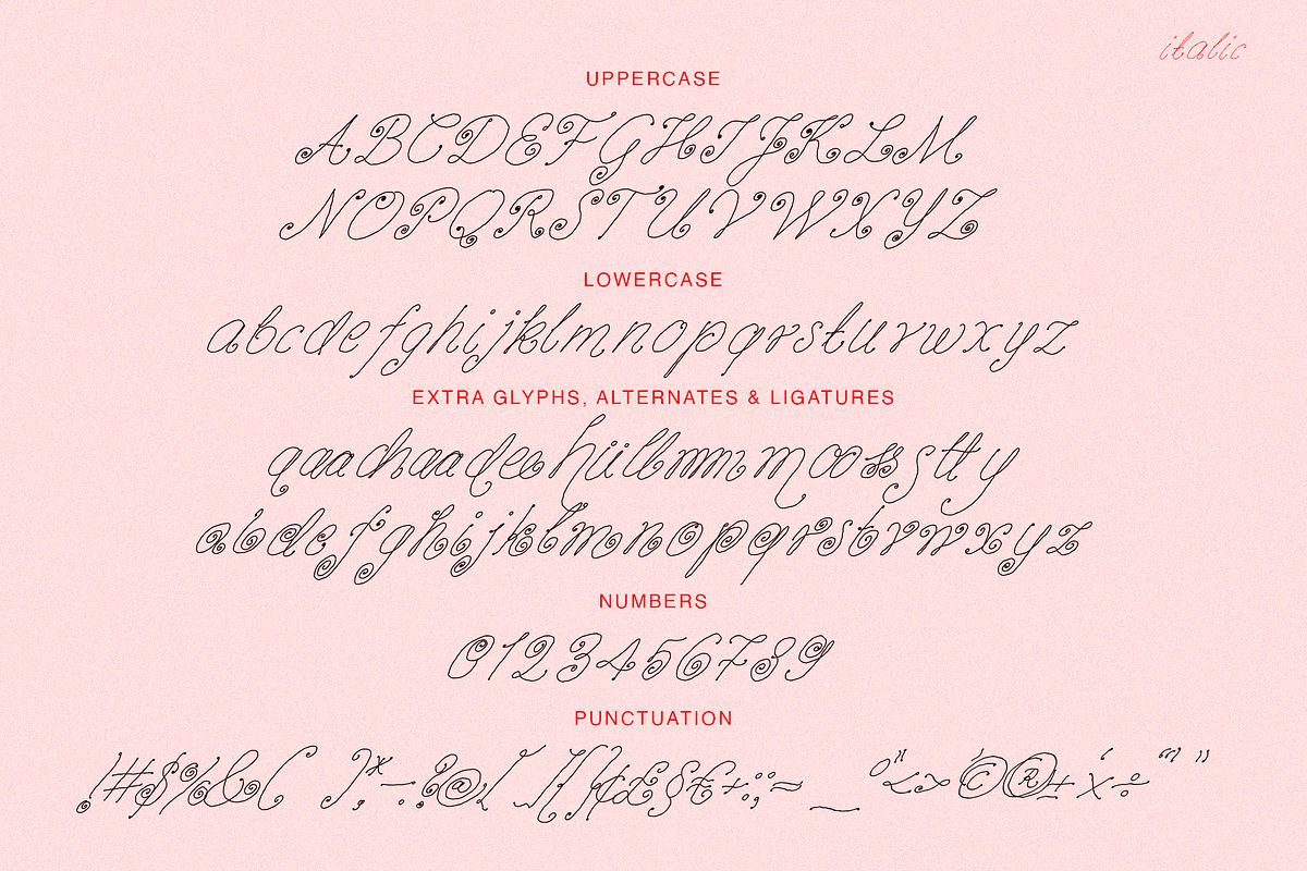 Vanilla Snail Curly Font Collection, a Handwritten Font by ana & yvy (Photo 11 of 12)