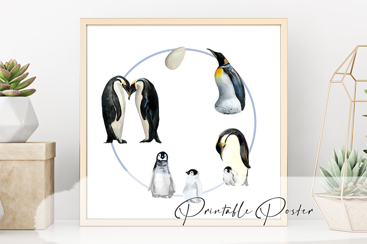 Watercolor Penguin Life Cycle Set, an Education Illustration by Tati Bordiu (Photo 2 of 5)