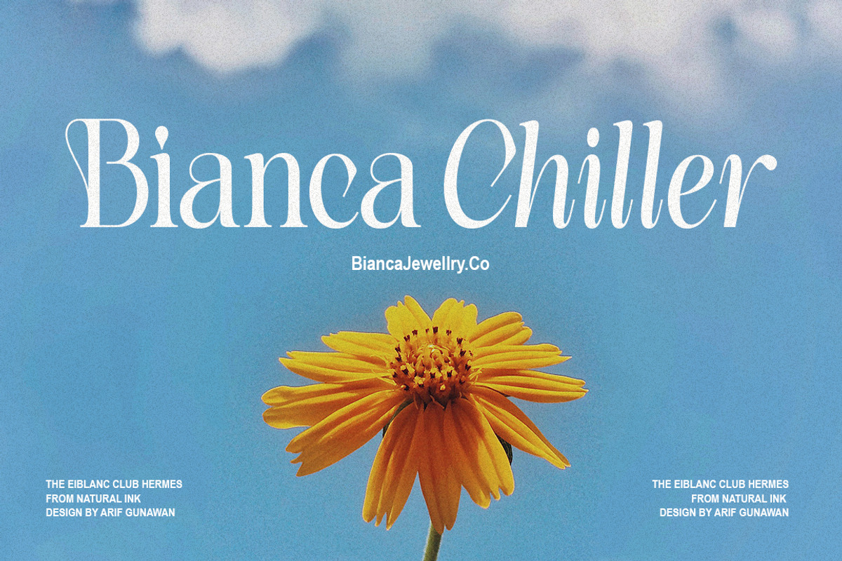 The Eiblanc Club Hermes | 12 Font, a Serif Font by Natural Ink Studio (Photo 8 of 15)