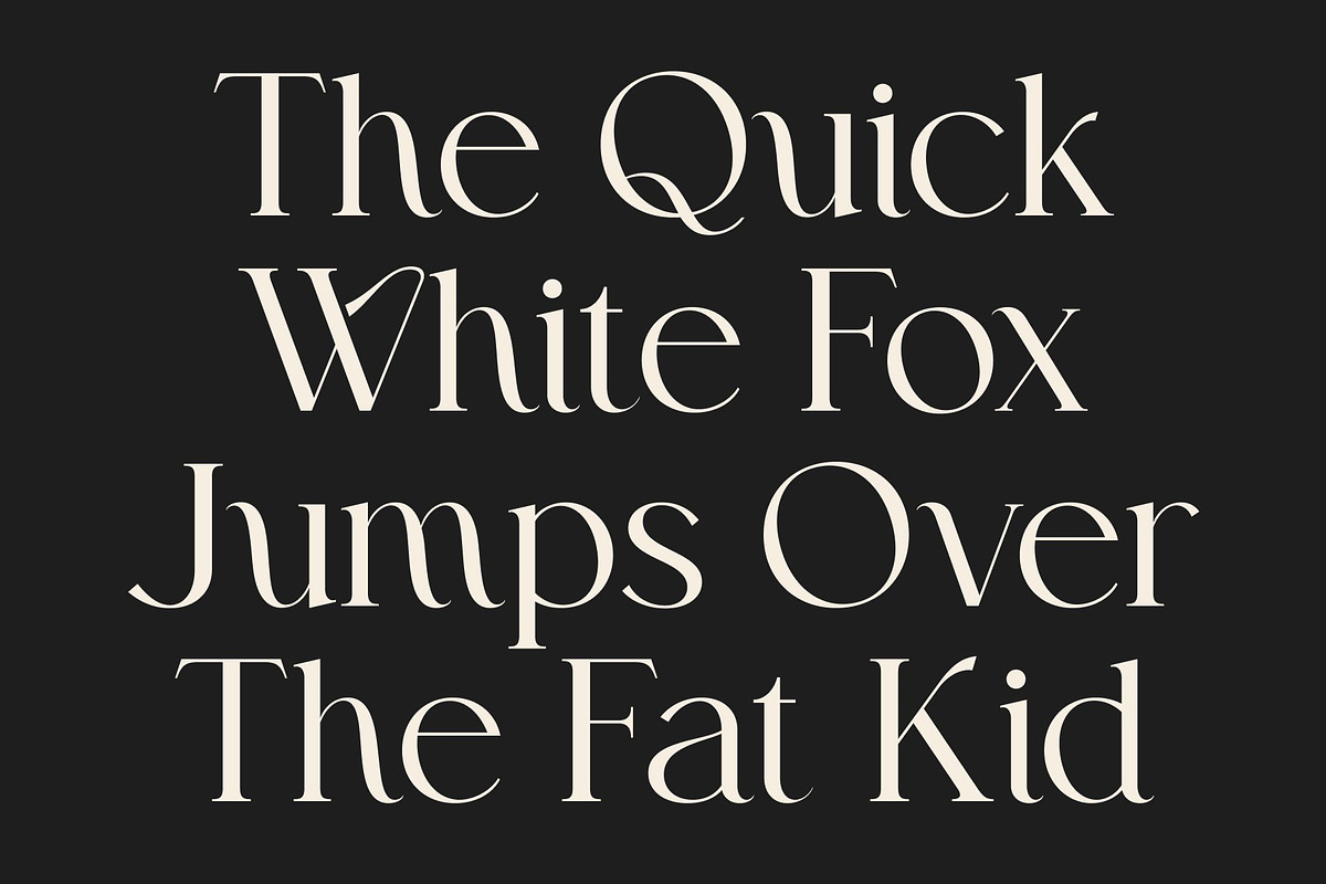 CS Avida – Elegant Serif Font, a Serif Font by Craft Supply Co. (Photo 4 of 8)