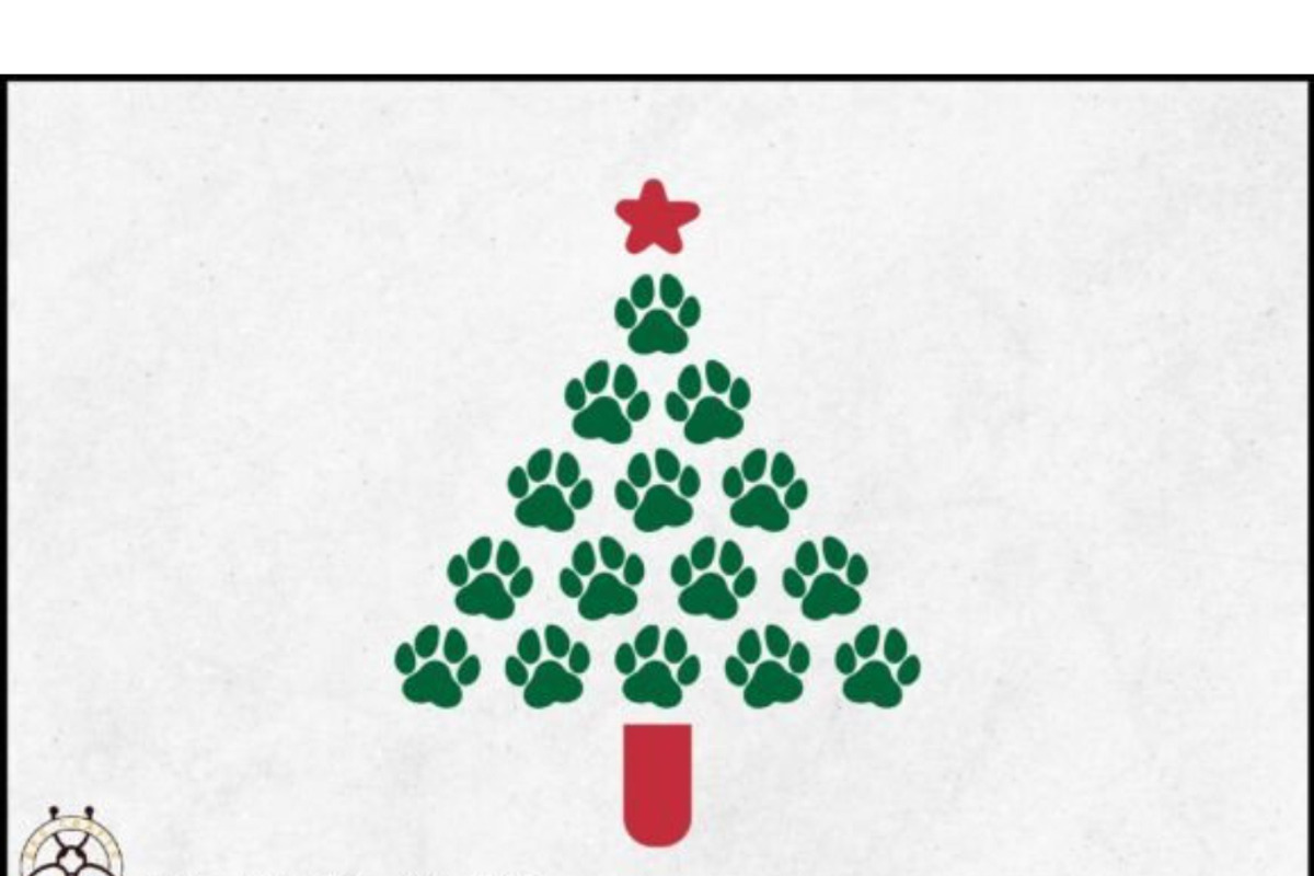 Christmas Dog SVG Bundle Santa Paws, a Graphic by BeeCraftR (Photo 2 of 9)