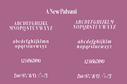 Palvani | Modern Elegant Serif Typef, a Serif Font by Artdez (Thumbnail 5 of 5)