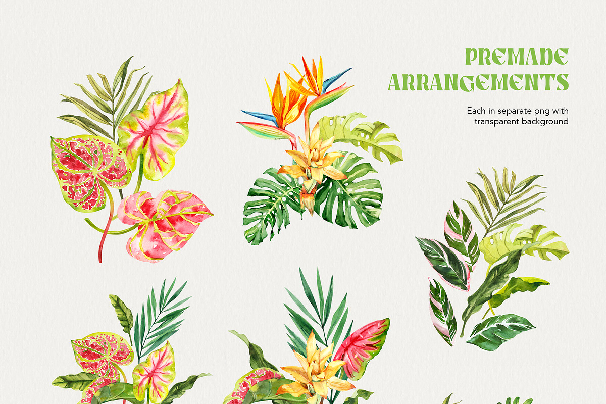 Tropical Leaves Watercolor, a Decorative Illustration by Volha Studio (Photo 3 of 11)