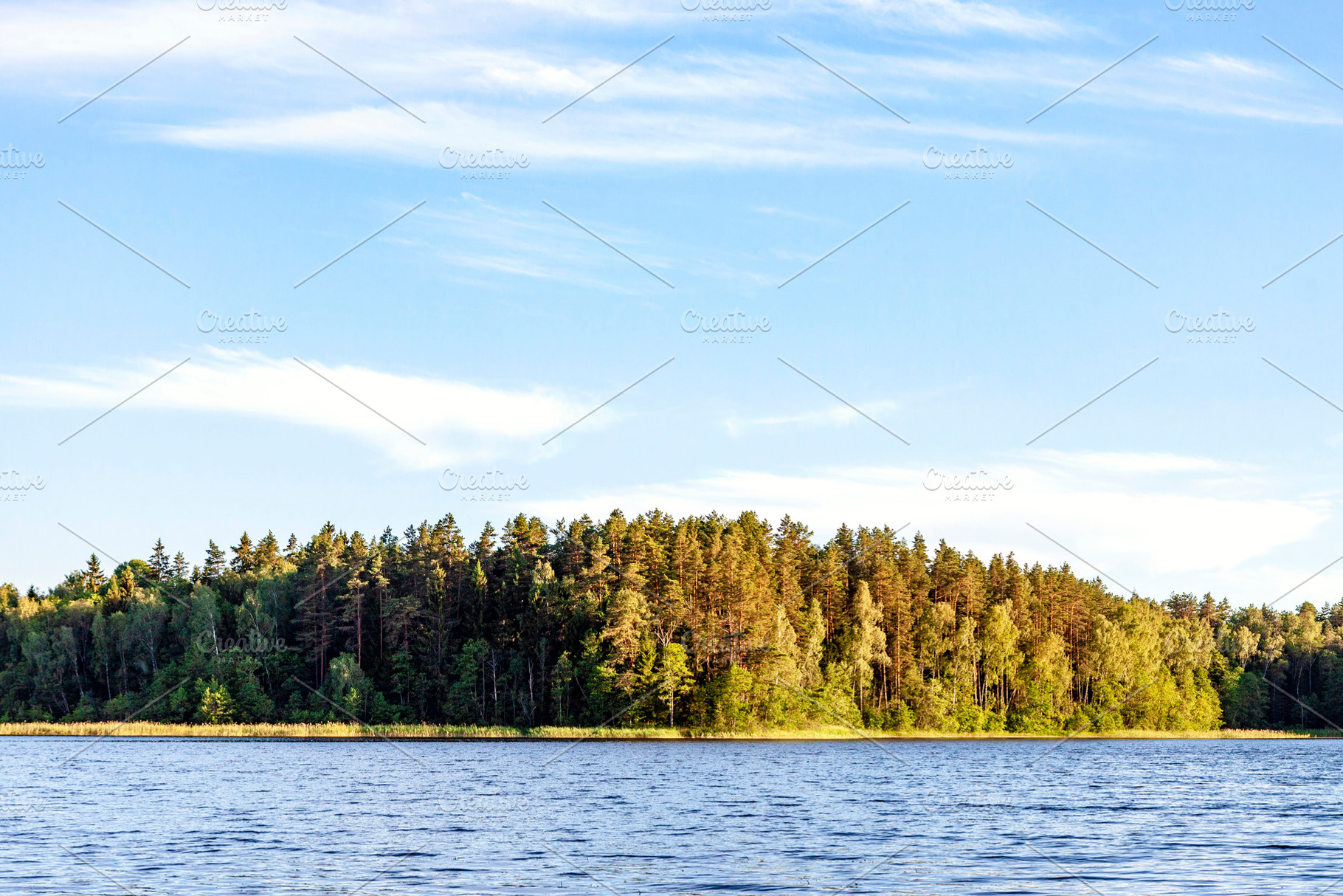 Landscape with calm lake and forest, a Nature Photo by BOOCYS