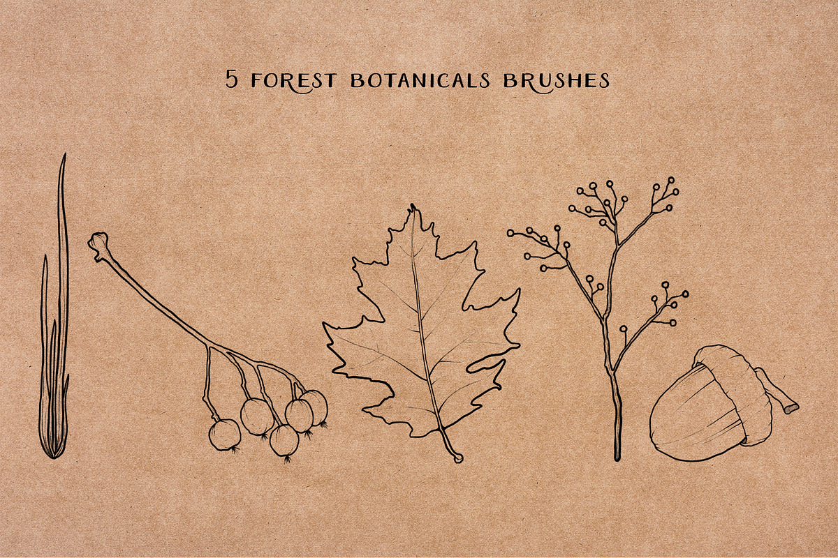 Mushroom Procreate Stamps: Line Art, a Brush Add-On by Little Nordic Atelier (Photo 4 of 4)