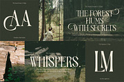 Elegant Condensed Volume 4, a Serif Font by Taboja Studio (Thumbnail 2 of 22)