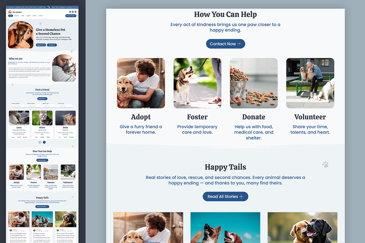 Pet Shelter - Wix Studio Website preview 5