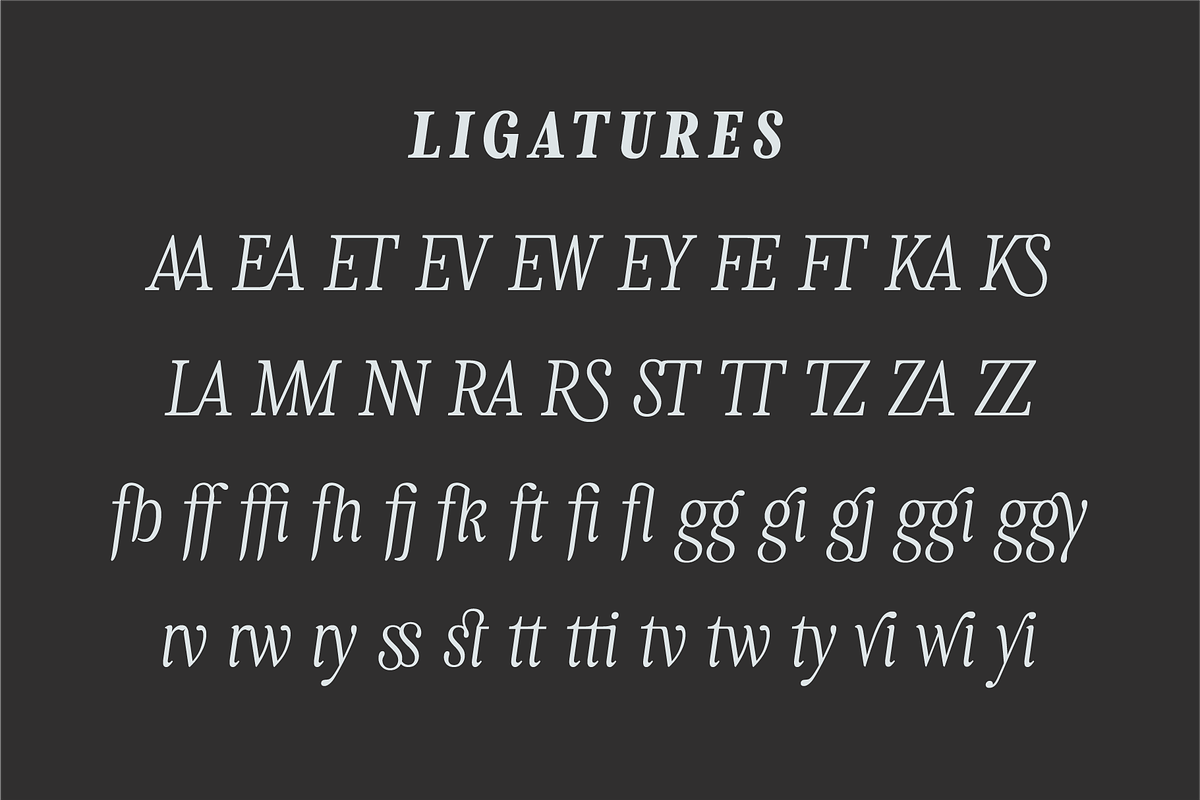 Levino Font Family, a Font by Punch (Photo 4 of 10)