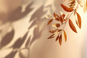 Autumn leaves casting shadows on a warm, neutral background in soft sunlight, a Photo by AlyaAnd