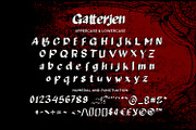 Gatterjen - Handwritten Script fonts, a Script Font by Nahar_std (Thumbnail 11 of 12)