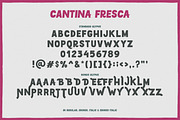Cantina Fresca Display + Elements, a Sans Serif Font by Callie Rian & Co. (Thumbnail 10 of 14)