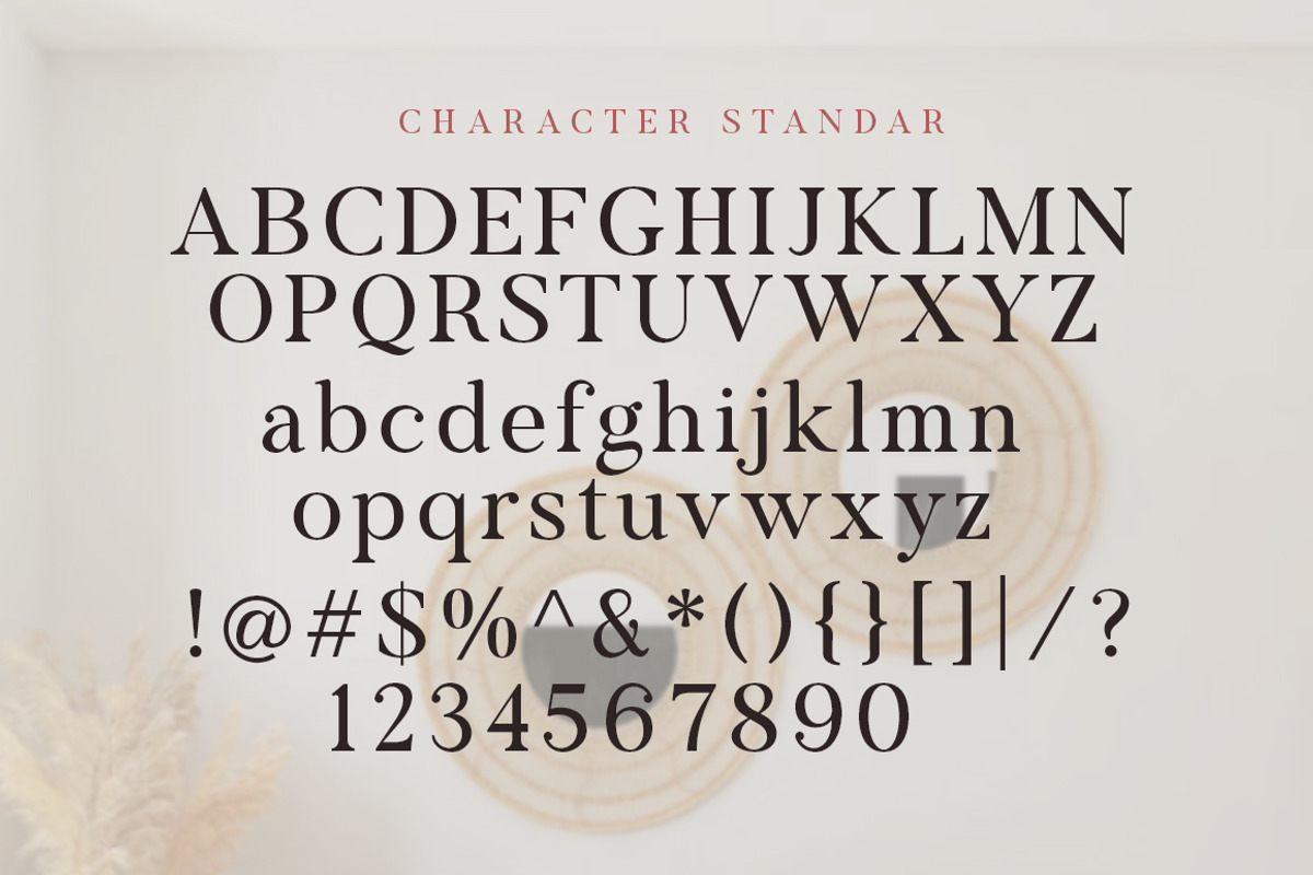 Voster Noise, a Serif Font by Propertype (Photo 9 of 10)