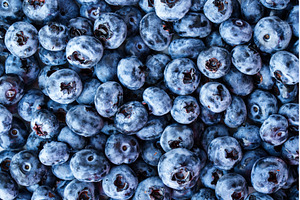 Blueberry. Fresh blueberries texture