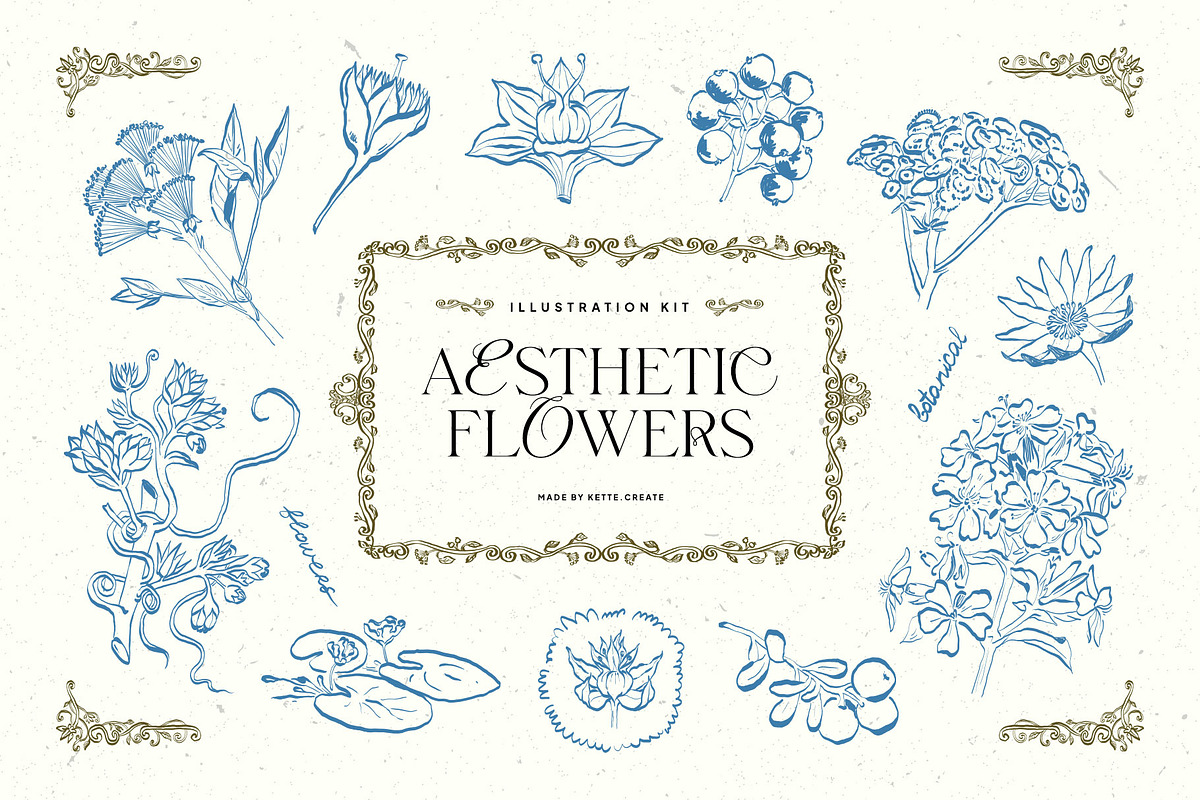 Aesthetics Flower | Illustration Kit, a Decorative Illustration by KetteCreate (Photo 1 of 19)