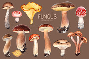 Fungus, a Pattern Graphic by Sundra (Thumbnail 2 of 13)