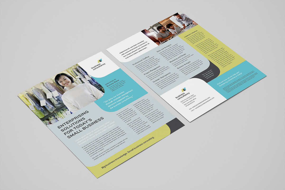 Business Consultant Datasheet, a Flyer Template by StockLayouts (Photo 5 of 5)