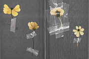 30 Isolated Clear Plastic Tape Piece, an Object Graphic by smishura (Thumbnail 4 of 5)