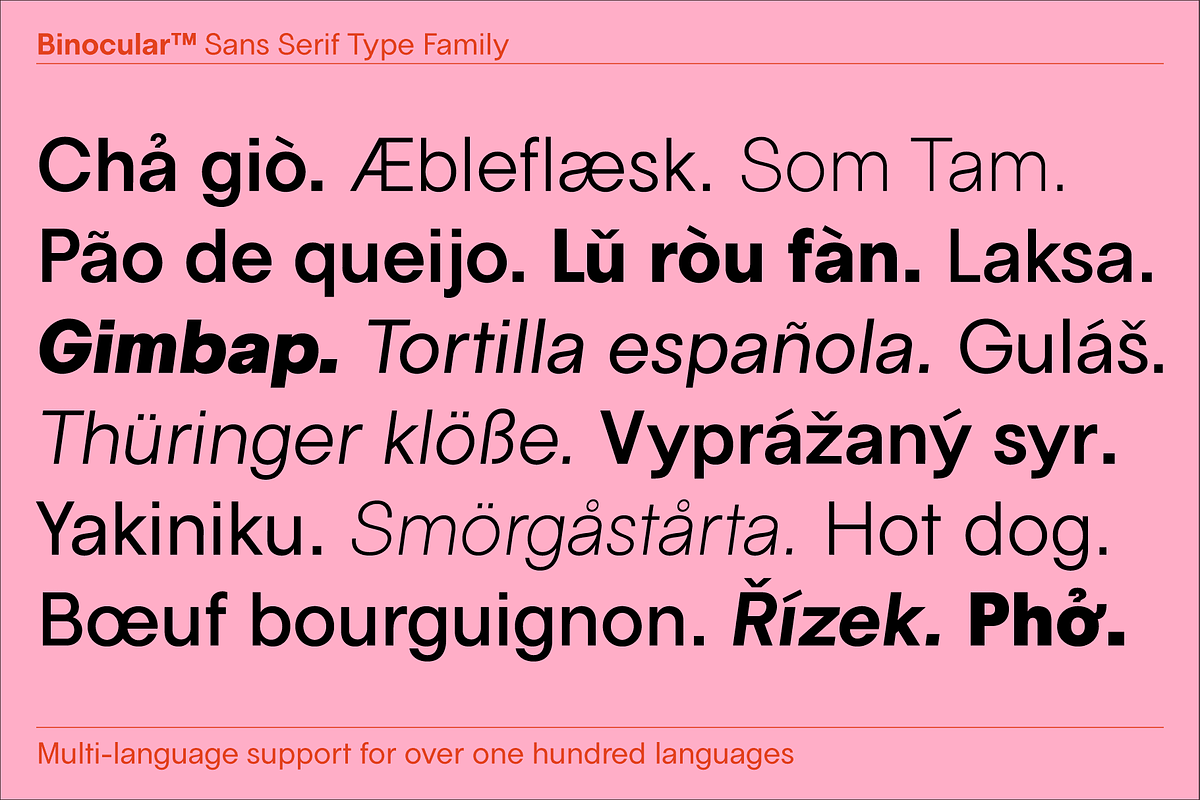 Binocular Sans Font Family, a Sans Serif Font by IRL by Outfit (Photo 8 of 26)